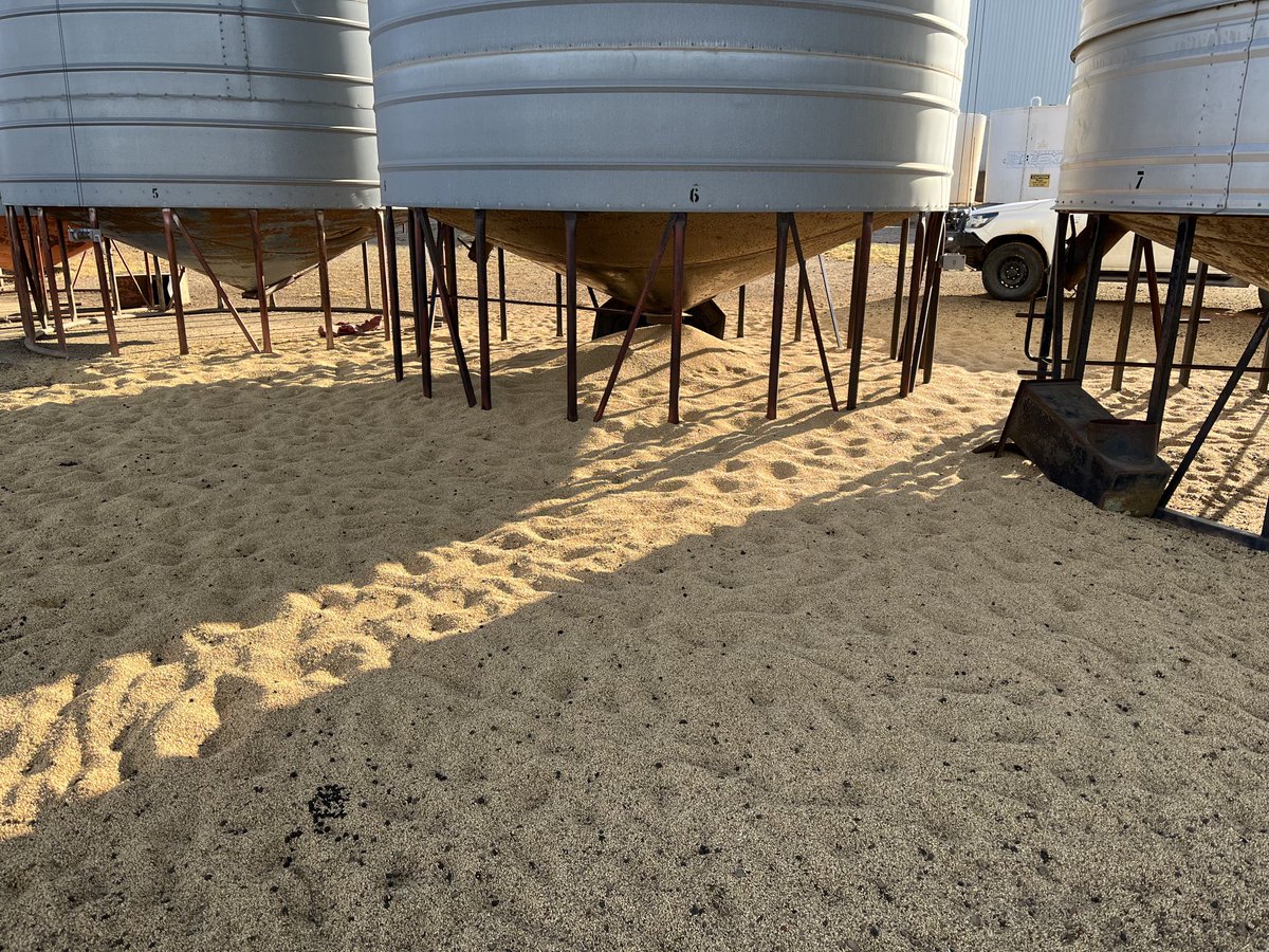 Scott Thompson 🇦🇺 tweet media