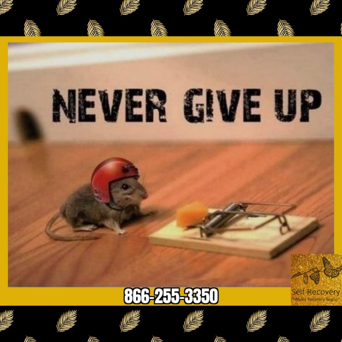 SelfRecoveryLLC's tweet photo. Here to help 24 hours! Serving Alabama and surrounding states. 866-255-3350
#wedorecover #recovery #recoveryispossible #recoverywarrior #recoverycommunity #recover #recovering #recoveringaddict #recoveringalcoholic #recoveringaddicts #endthestigma #soberlife #sober #soberliving https://t.co/Fj0mADpDlB