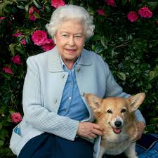 uptownamanda's tweet photo. In honor of the late queen and the new king, I thought I'd repost this newsletter from 2019... it still holds true https://t.co/1qM9FG8jWI #LessButBetter #DressLikeaKing https://t.co/zozu0AXk6s
