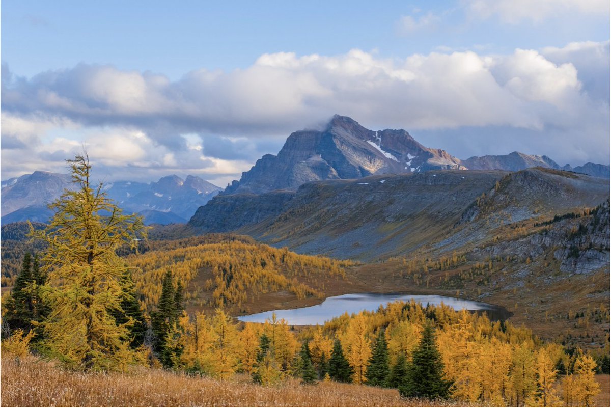 Healy Pass Alberta -thebanffblog.com/wp-content/upl…