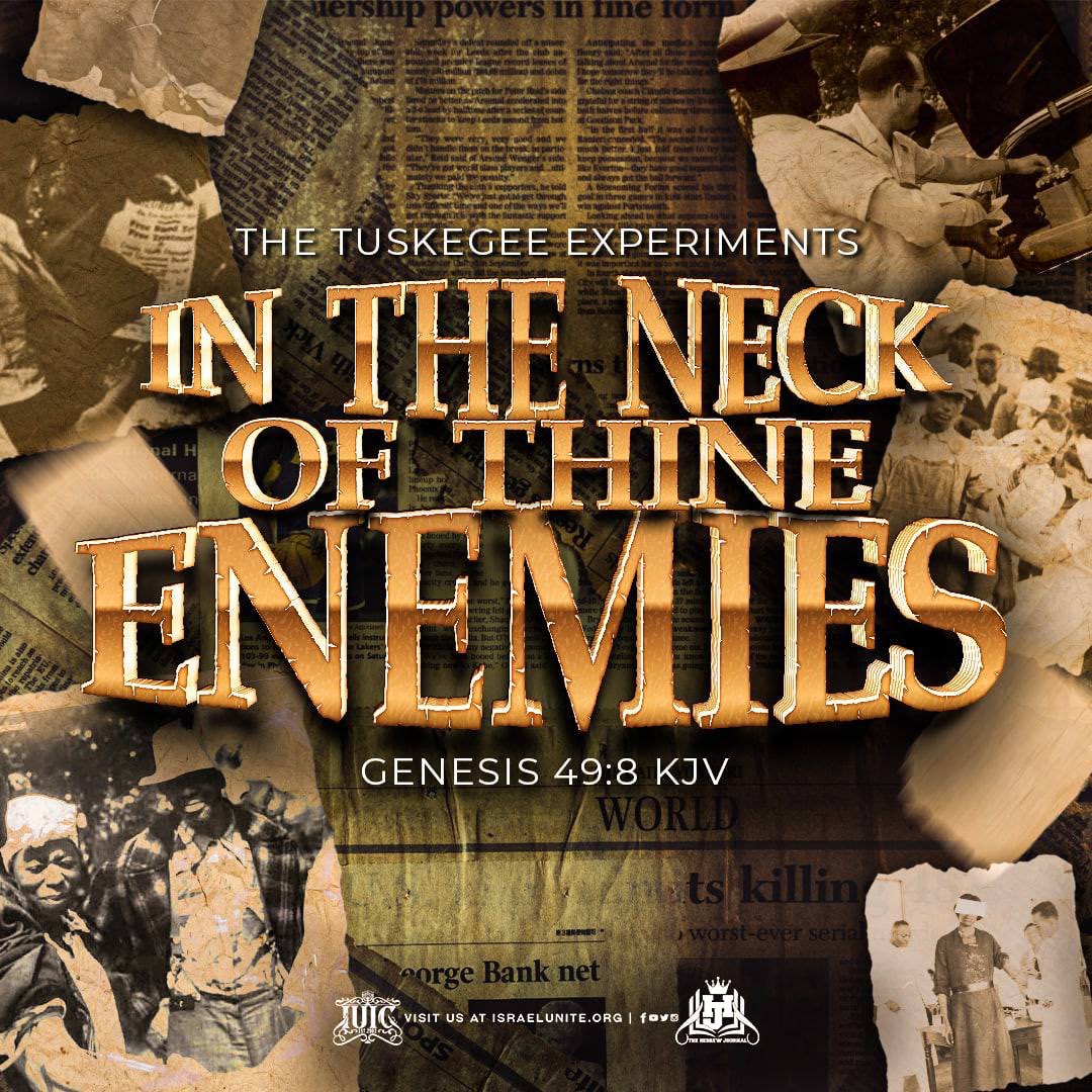 iuic_montreal's tweet photo. The Tuskegee Experiments weren't a coincidence, they were prophecy! 💥 It's time for the so-called blacks to rise up and repent ☝🏽
#HebrewsJournal #IUICTV #MedicalApartheid #TuskegeeExperiments #Enemies #ThePayback https://t.co/VPJl8rUOHc