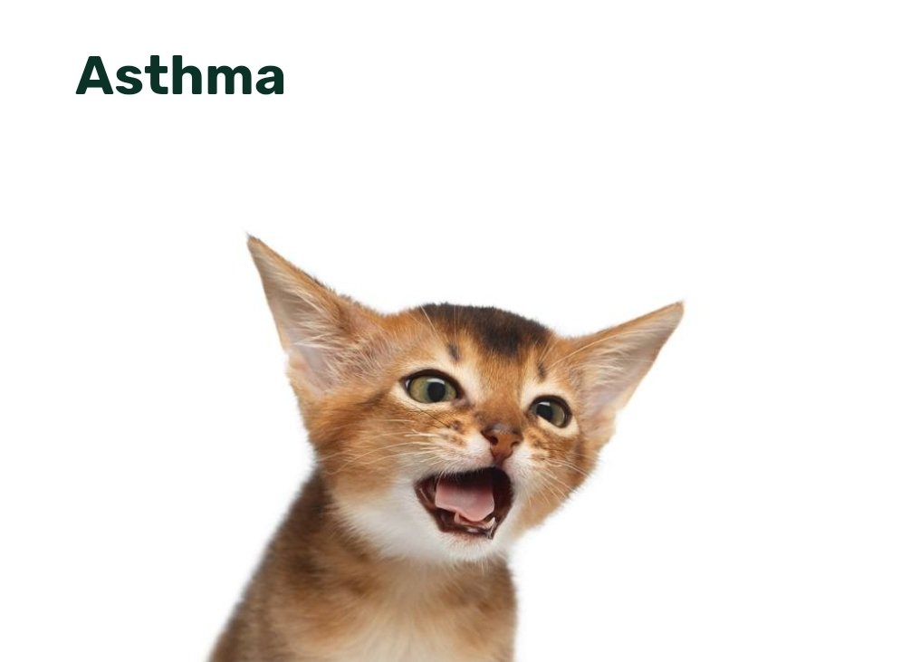 Wayne Roberts 🐀 tweet media