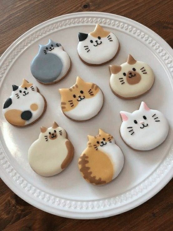 kitty cookies ✧*:･