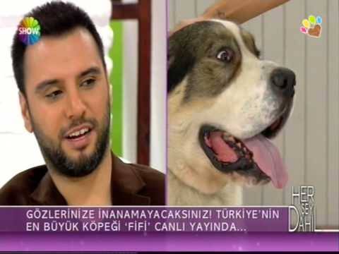 "Aday Belli"

balkon konusmasi loading . . .