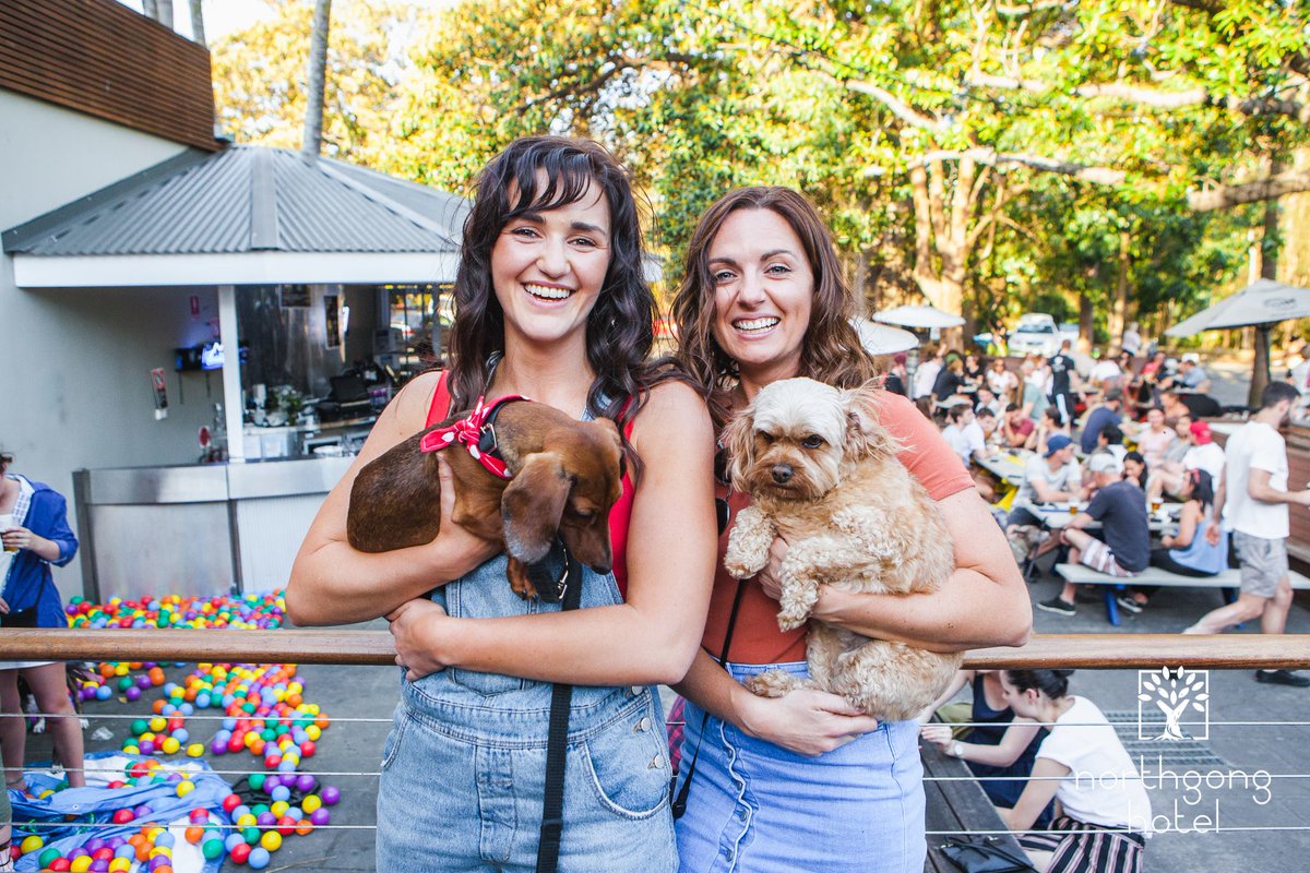 OzDogLover's tweet photo. After a 3-year hiatus, the #Illawarra's best #DogDayOut for #dogs returns for 2022! The #PoundPaws x North Gong Dog Day celebrate #dogrescue with a whole heap of tail-wagging activities! ๐๐พ๐
๐
Saturday 24th September from 12pm-4pm.
https://t.co/stcHxTBx4x https://t.co/FGtOcgJdhp