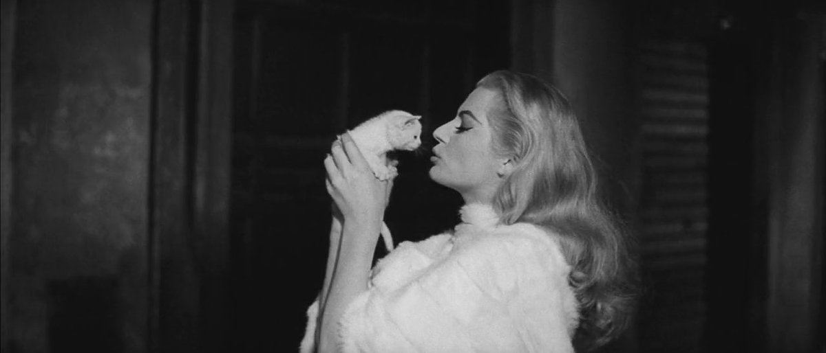 TheCinesthetic's tweet photo. La Dolce Vita (1960) dir. Federico Fellini
https://t.co/fjsqJgJ7TY