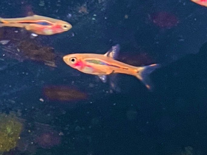 Ts8cicn6yde Om Ts8cicn6yde Om