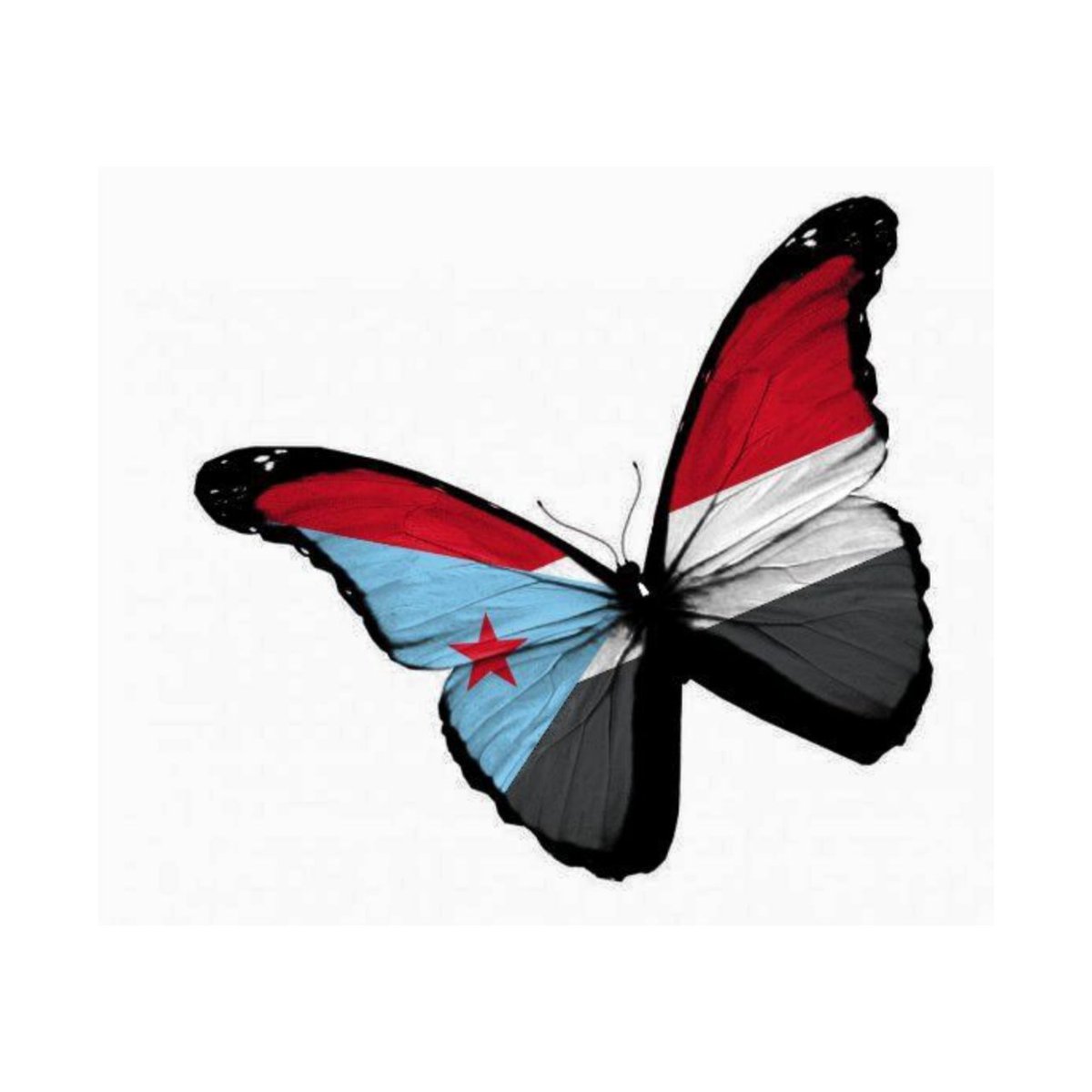 Fatima_M1710's tweet photo. #صورة_ملف_شخصي_جديدة https://t.co/szARqS936s