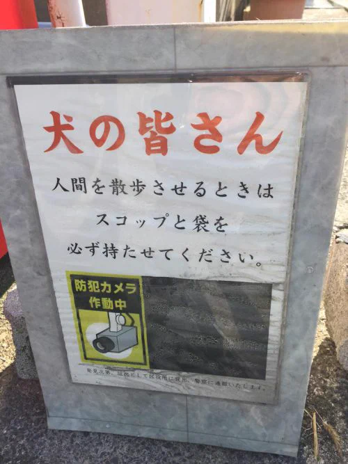 @kusatta_www こういう注意書きの方が読む❣
お店が一方的に書いてるだけだと読まないし、面白さがない。
こういうお店が増えると良いな～😜
僕もTwitterアカウントをユーモアあるものにしていきます🔥
是非、ツイートを見に来てください❣ 