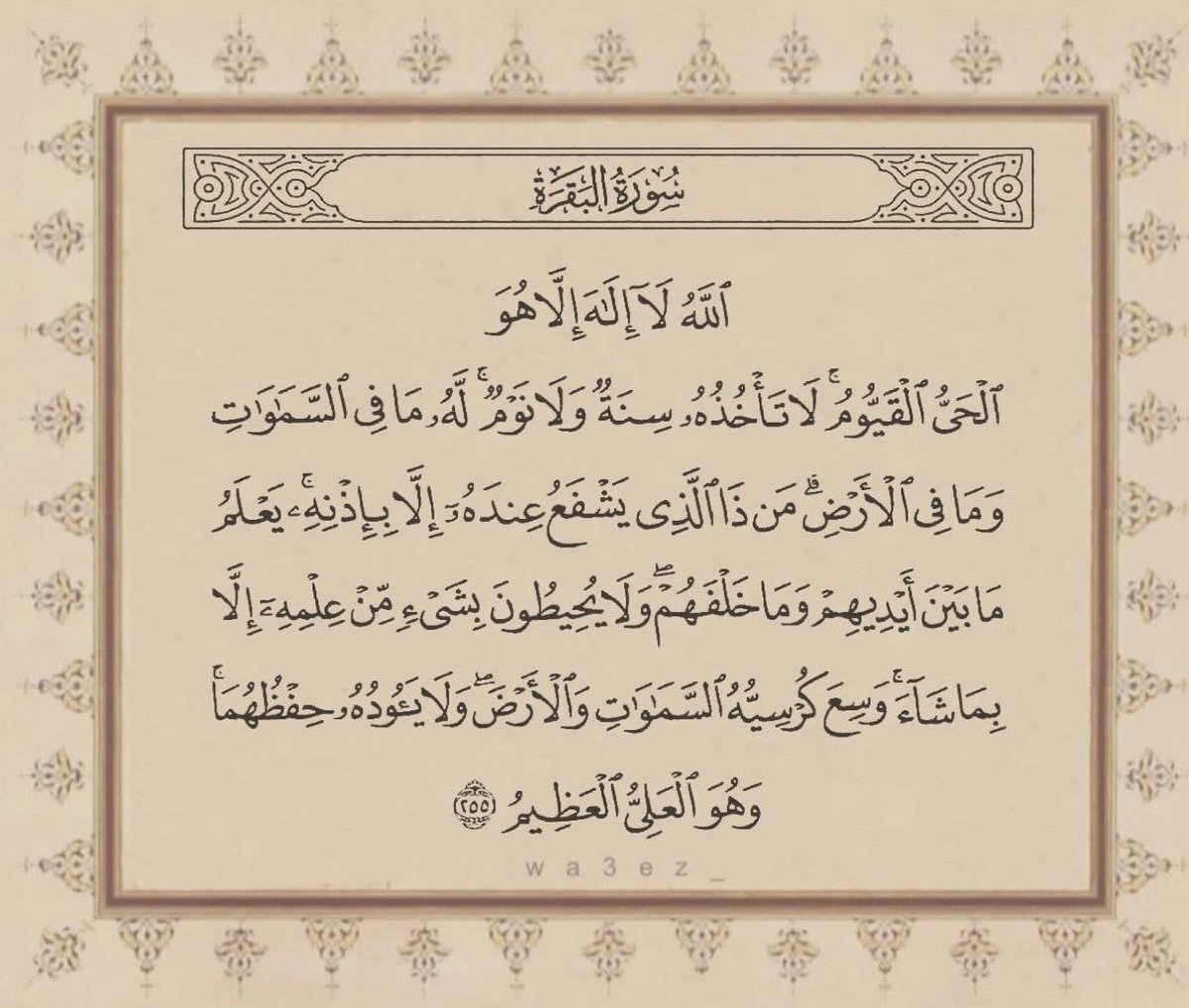 مح/md ♡⚔️❄️ tweet media