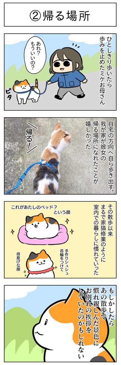 帰る場所①②│フェリシモ猫部 https://t.co/NnNZpwWXnn 