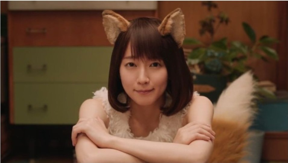 どんぎつね Twitter Search Twitter