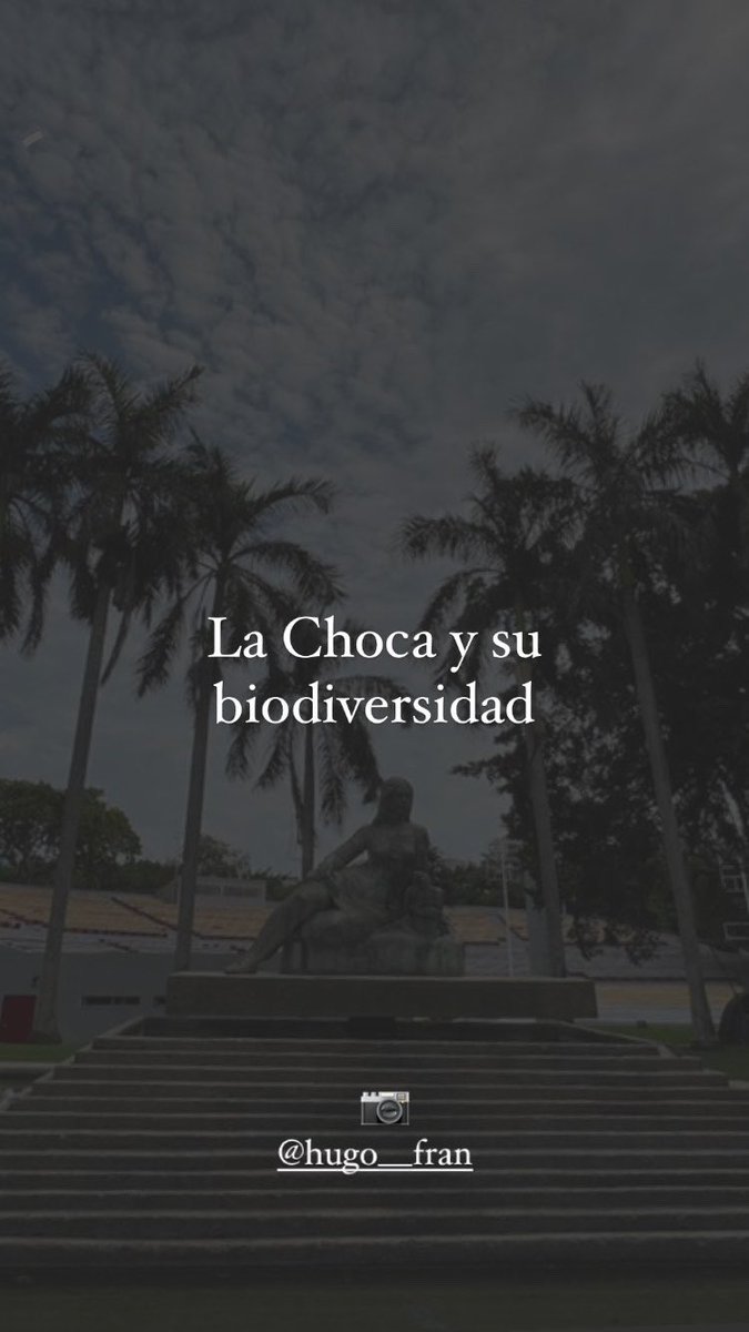 TabTuristico's tweet photo. Un 🧵dominguero caminando y disfrutando del parque La Choca y su biodiversidad 📷🍃💚.

📷 Hugo Chávez Ayala | @AgroflorestaMX 

#TabascoTurístico https://t.co/9r83V5kv3V