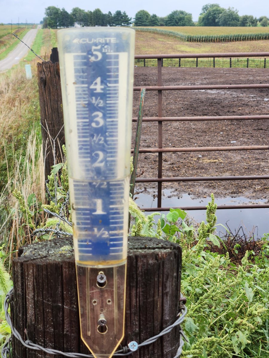 tbcattle_72's tweet image. 1.6 inches Saturday Night.  First rain in 21 days.