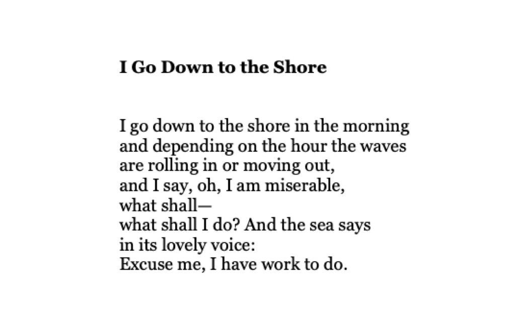 Happy birthday to Mary Oliver: