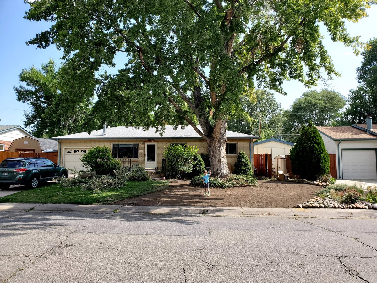 Dr. Rachel Collins tweet media