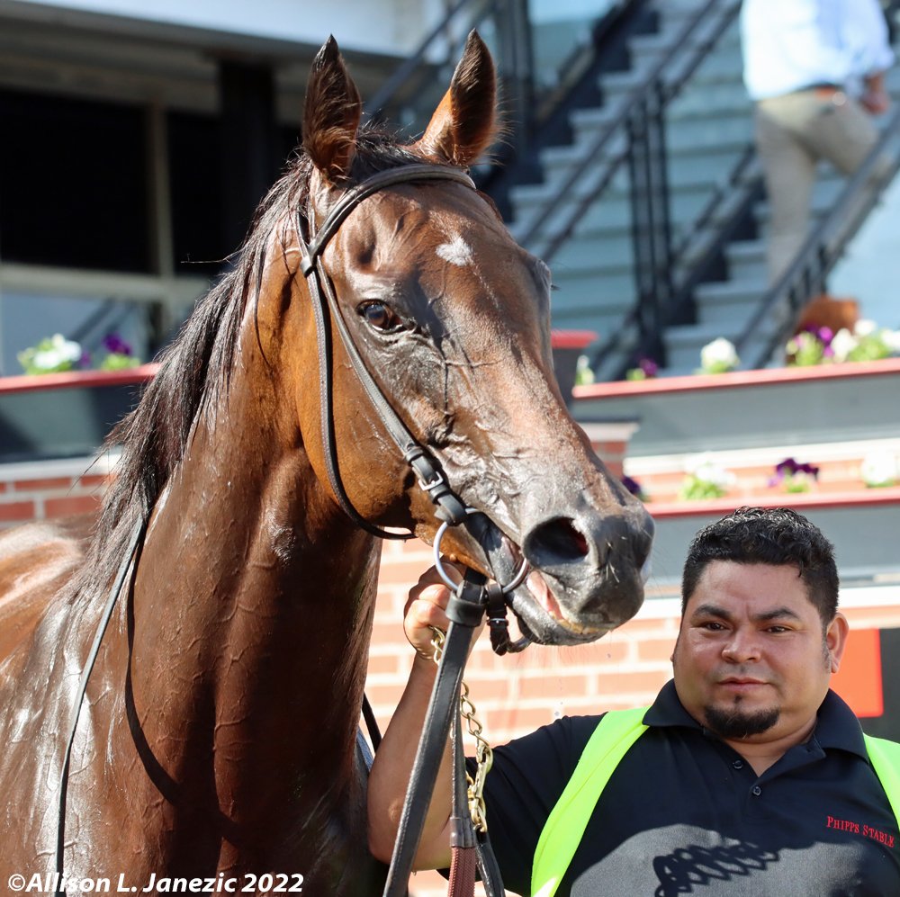 In A Hurry wins the All Along Stakes with #ForestBoyce aboard.