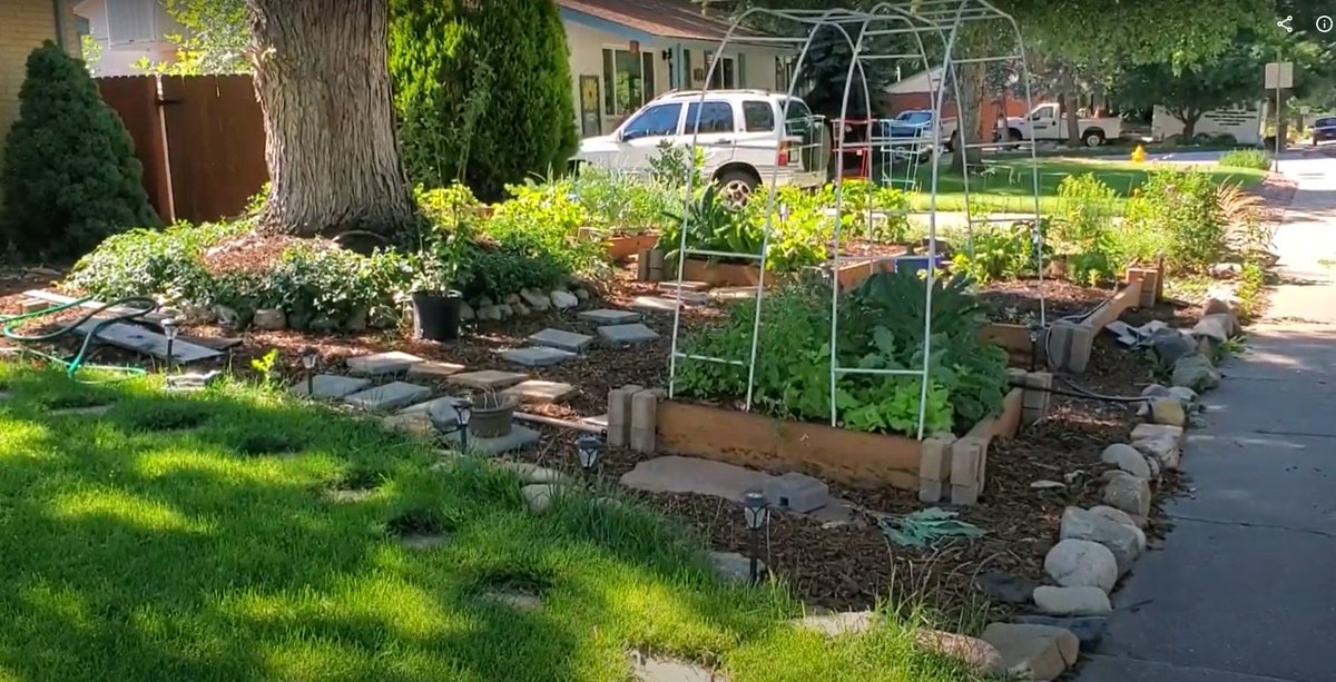 Dr. Rachel Collins tweet media