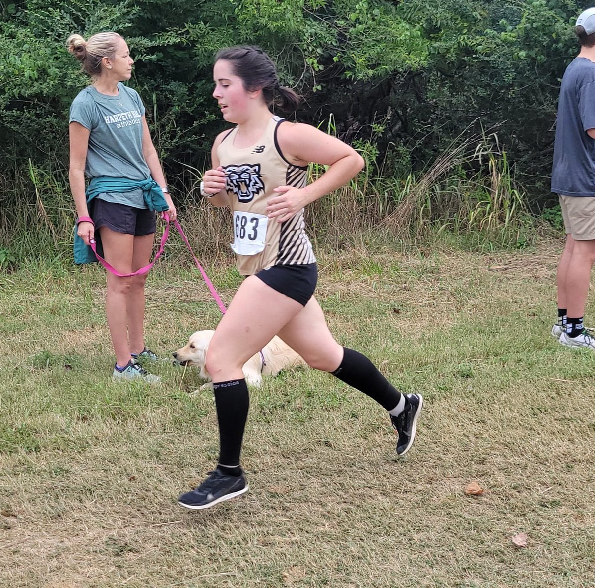 Central Magnet Cross Country tweet media