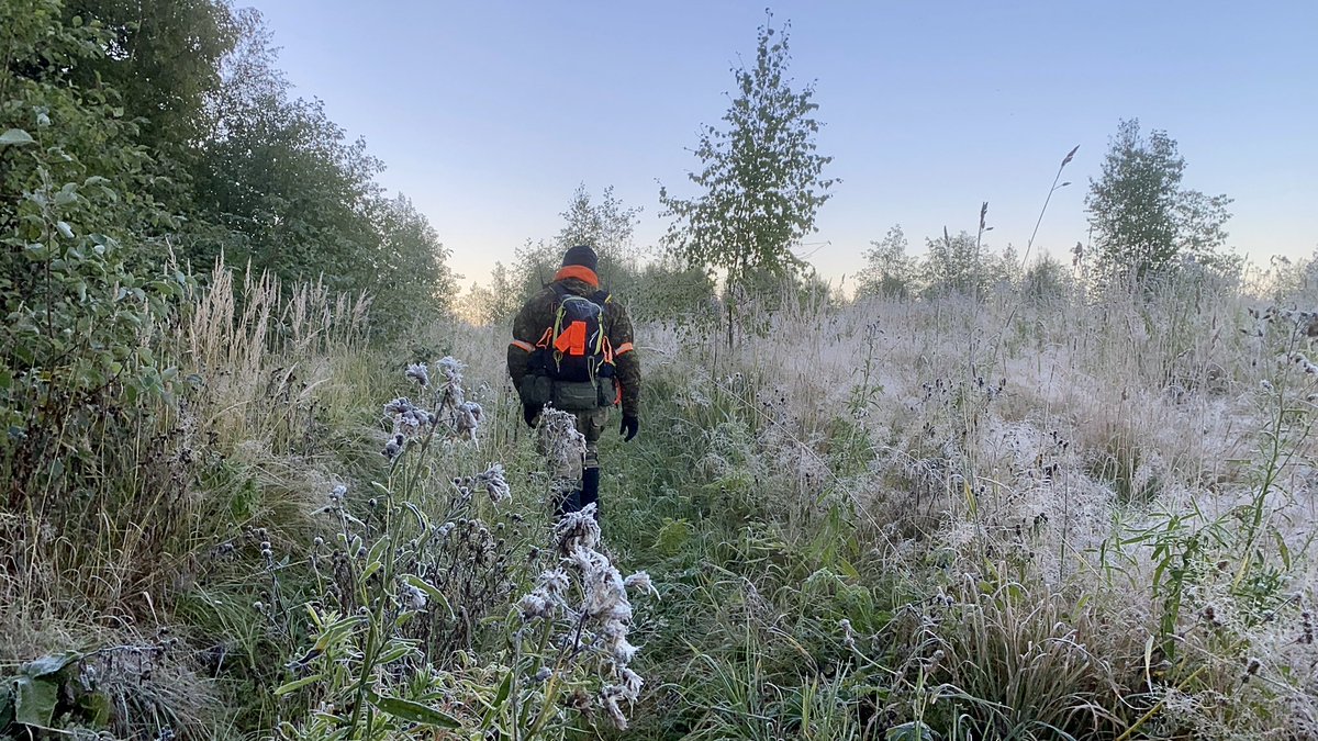 Первые морозные 
#поисковыерассветы

Ребятки, приезжайте, штаб не заканчивает работу! 
Последние группы выходят из леса и уезжают. И нам с Триггером опять грозит остаться вдвоём, а Юрий Николаевич до сих пор в лесу