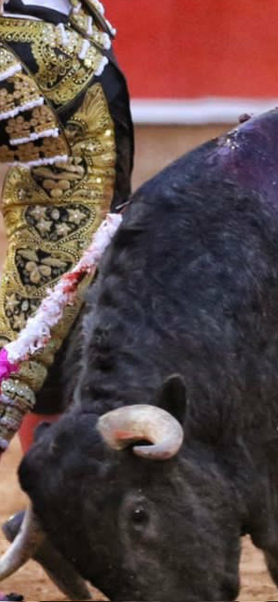 Kikiriqui tweet media