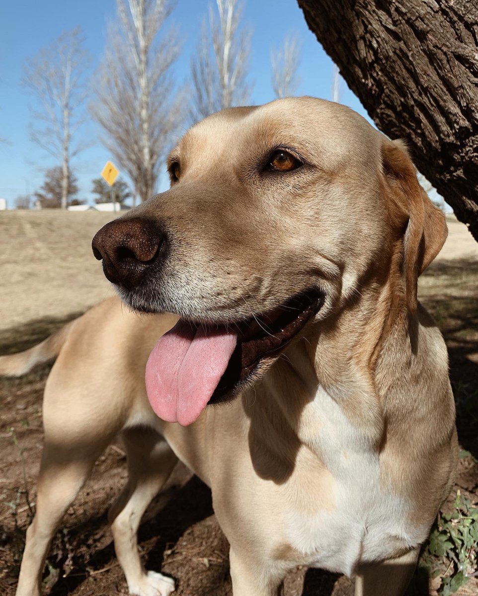 Es que es la más hermosa de todas😍