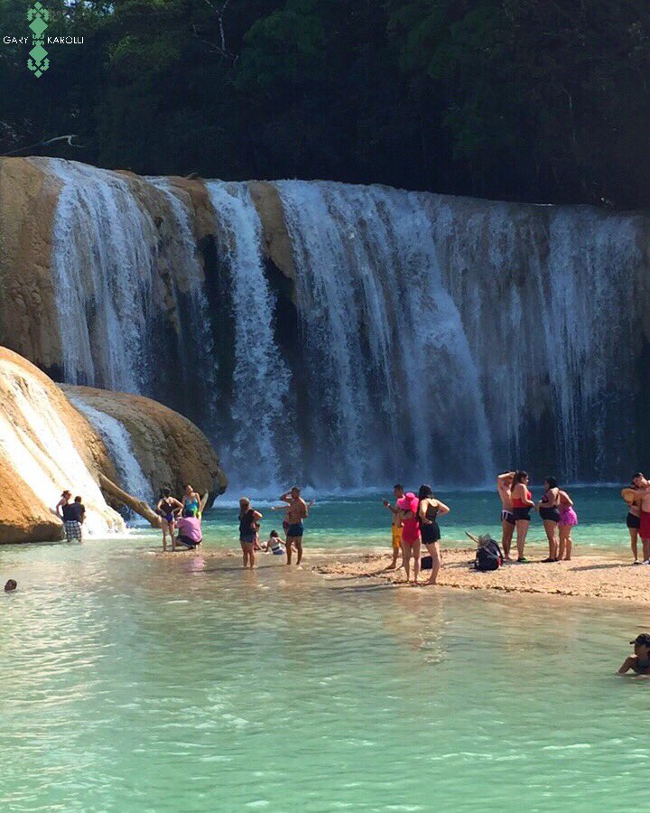ViajayVuela_MX's tweet photo. ✨Encontrar en lo ordinario, lo extraordinario.✨
Excelente trabajo de 📷@GARYKAROLLI📍en Chiapas 🇲🇽

#mexico #fotomexico #outletviajayvuela #chiapas #chiapasionate https://t.co/3Dzn67IoHC
