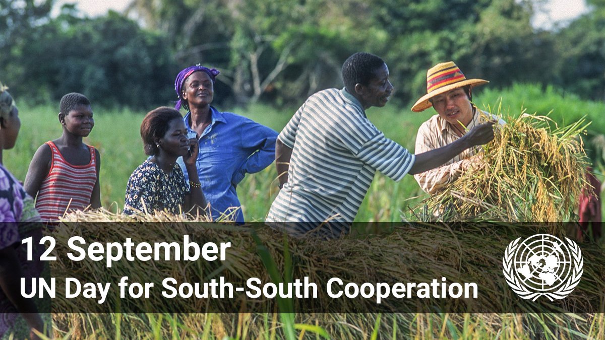 UNOSSC's tweet photo. 📌 Today is @UN International Day for #SouthSouthCooperation‼️

Join @UN Secretary-General @AntonioGuterres, @UN_PGA @Abdulla_Shahid and @UNDP’s @ASteiner, among others, for the celebration: 🔗 https://t.co/4AyRjqfzL3 https://t.co/41Dr5giKyr
