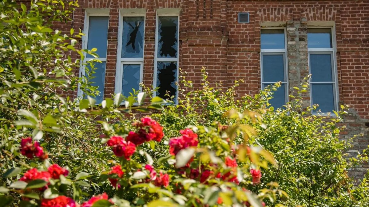 РИА Новости tweet media