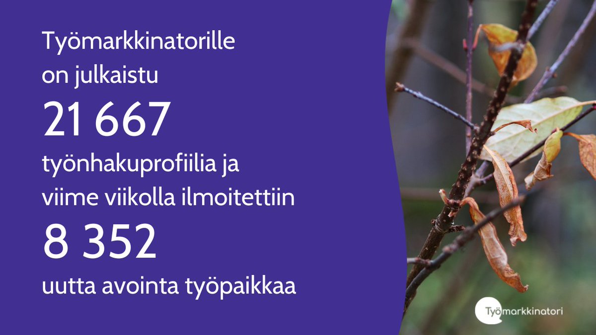tyomarkkinatori's tweet photo. Työmarkkinatorille ilmoitettiin viime viikolla 8352 uutta työpaikkaa ja sivustolla on julkaistu 21 667 työnhakuprofiilia. Tutustu! https://t.co/9mppkEY21t

#Työmarkkinatori #AvoimetTyöpaikat #Rekrytointi https://t.co/UBUfY6QKKT