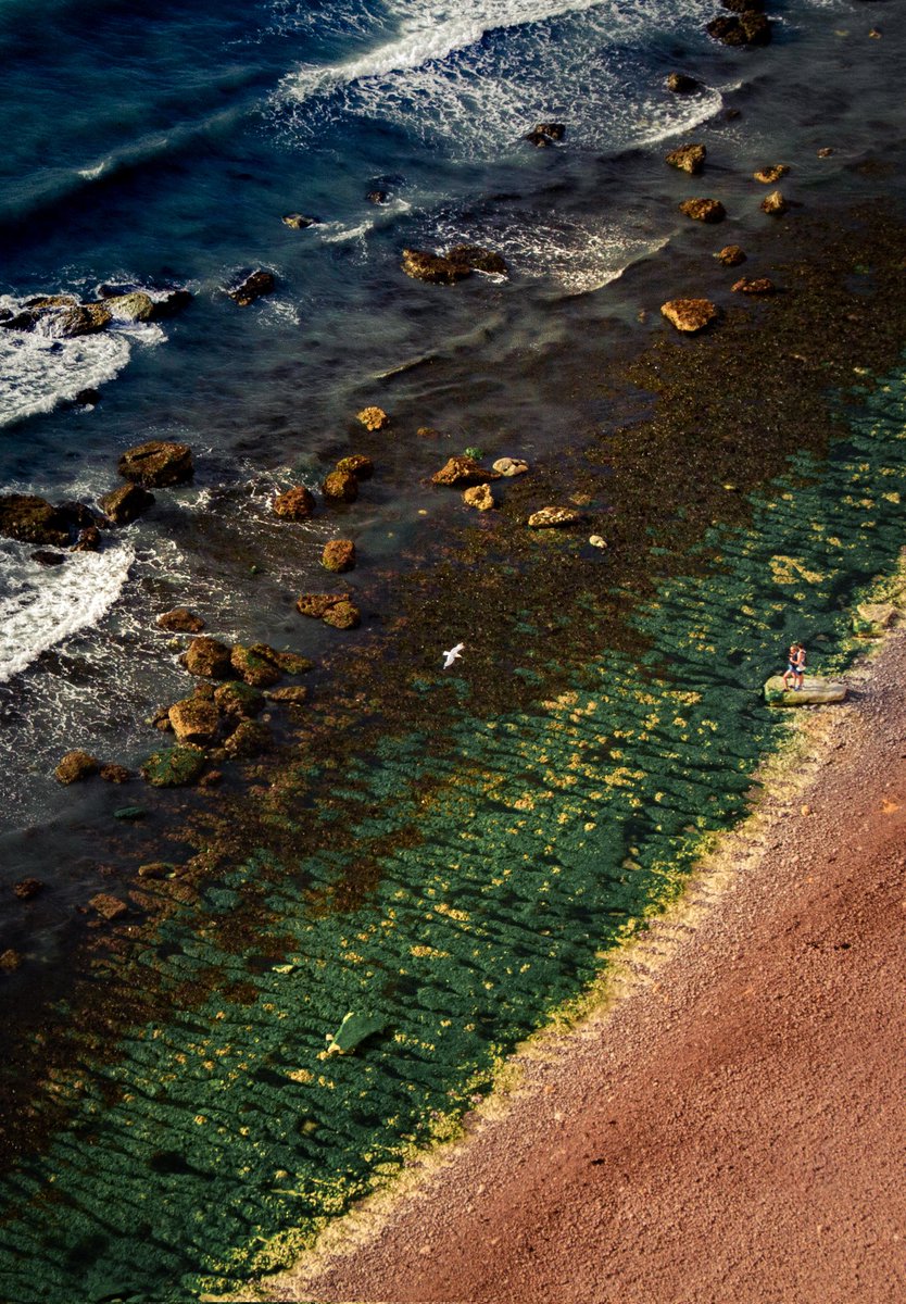 Sanqueira.eth/tez🦉 tweet media