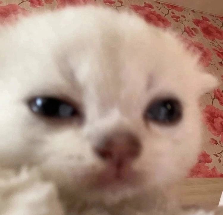 Kil4ler83's tweet photo. Так прикольно, что всегда когда я захожу в твитер у меня разное количество читателей https://t.co/tyP8ob2oIb