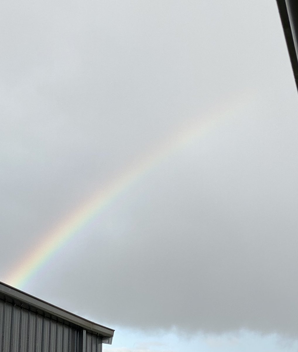 Man8Oussie's tweet image. Rainbow 🌈