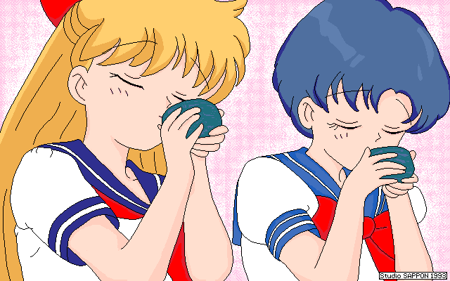 spaztron64's tweet photo. SAP6_M&amp;A.MAG (21-Aug-93) is a very interesting Sailor Moon fanart from a historical perspective since it came with an image (SAP6MKNG.MAG) and document file detailing it's production process, giving us some insight into how early 90s digital art was made.
The LZH is SAP6_M_A.LZH https://t.co/FxlaiwNRk2