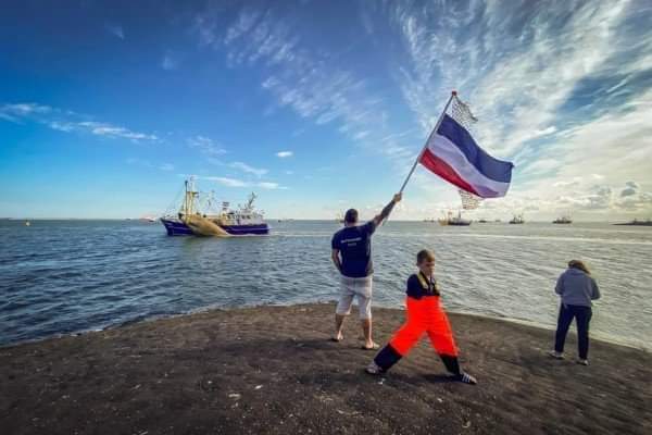 #Drama | Zo'n 60 kotters gaan 'de sanering' in. Ca. 20% van de NLse vissersvloot verdwijnt.50% grote kotters stopt.

Gevolg: ontslagen, opleidingen in nood, visserijdorpen verzwakt, toeleveranciers en vishandel krimpen in, minder visafslagen en echte vis straks dus nog duurder.