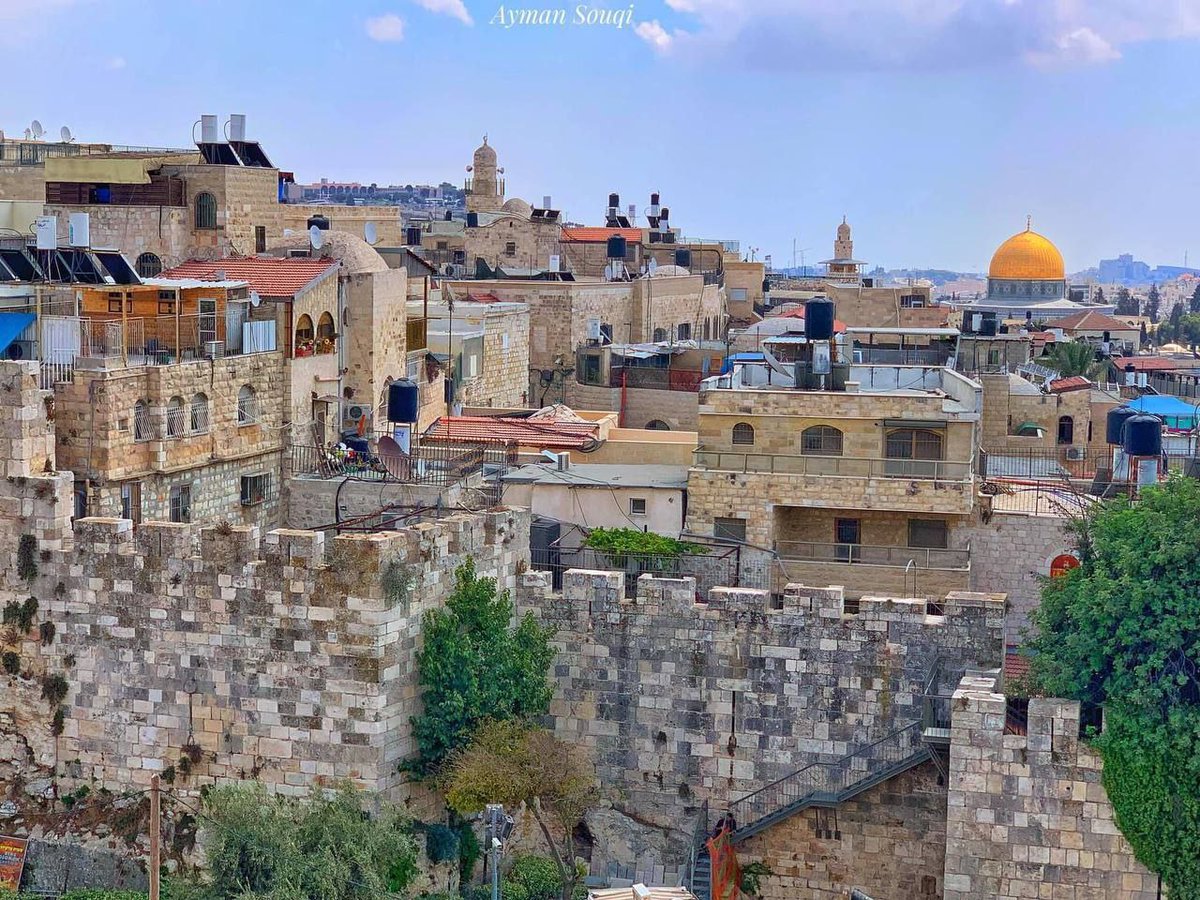 Hayırlı sabahlar 💛