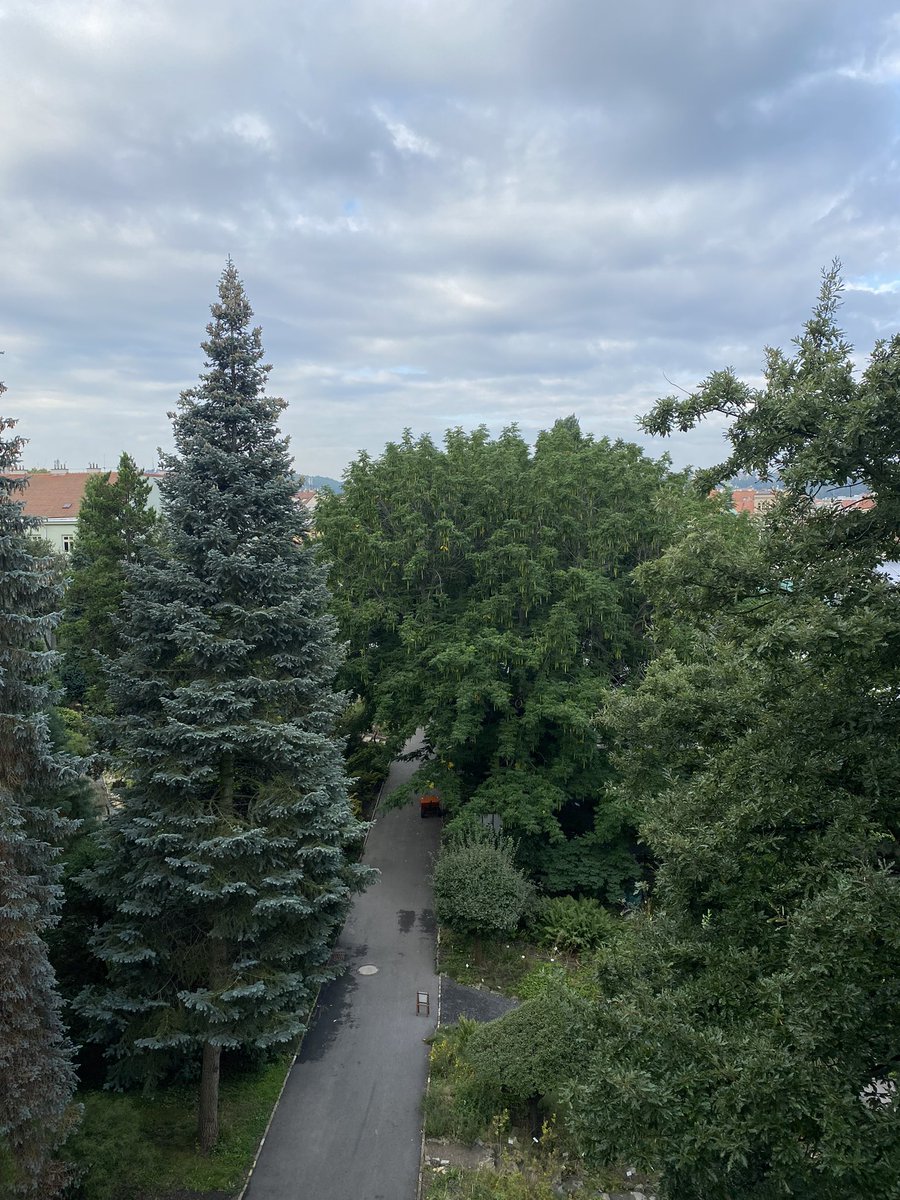 Today starting training plant epigenetics at Charles University Prague (CZ) 12-14/09… cost action EPICATCH … with Clement Lafon-Placette, Iris Samarco and I …<a href="/EpicatchS/">Epicatch CA 19125</a>