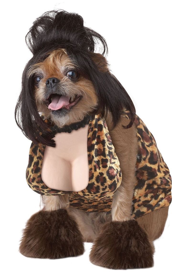 titityson's tweet photo. trying to figure out Oliver’s halloween costume. Suggestions welcomed https://t.co/su6DA9IsJr