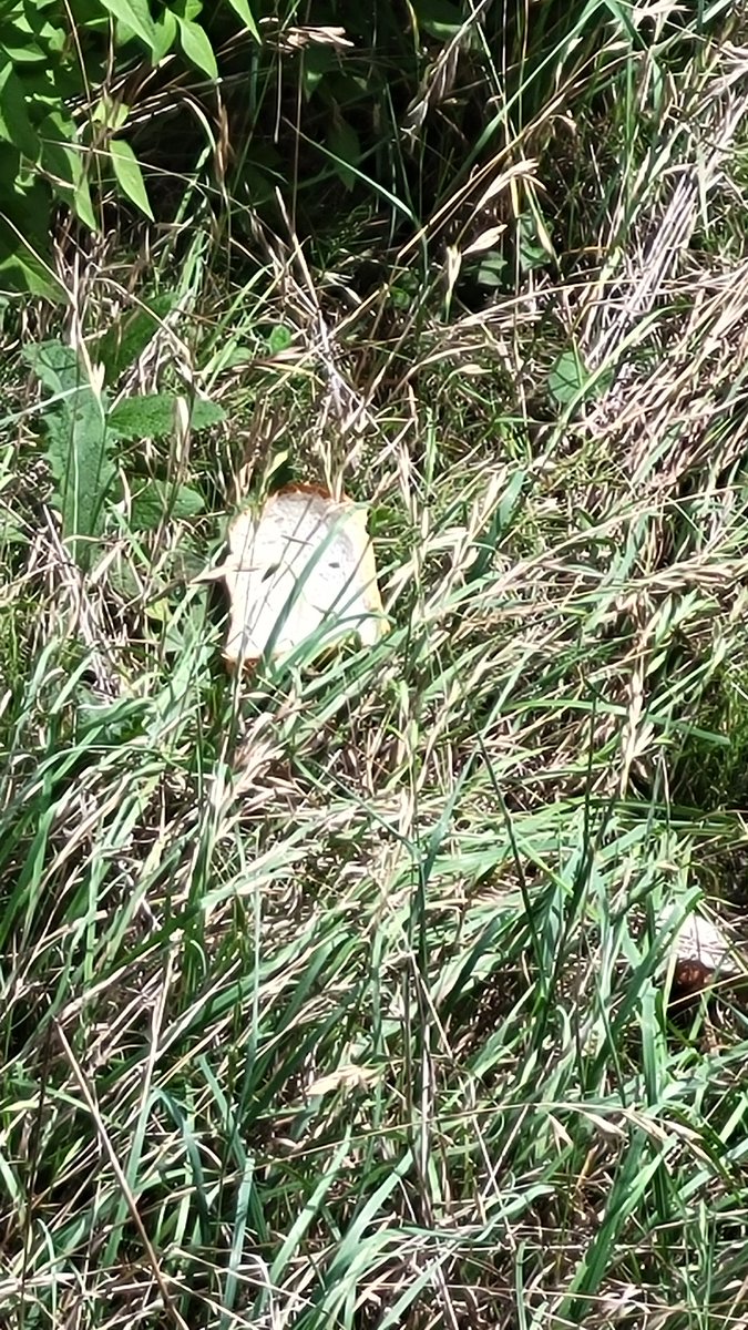 7lacupvoalbkom 7lacupvoalbkom