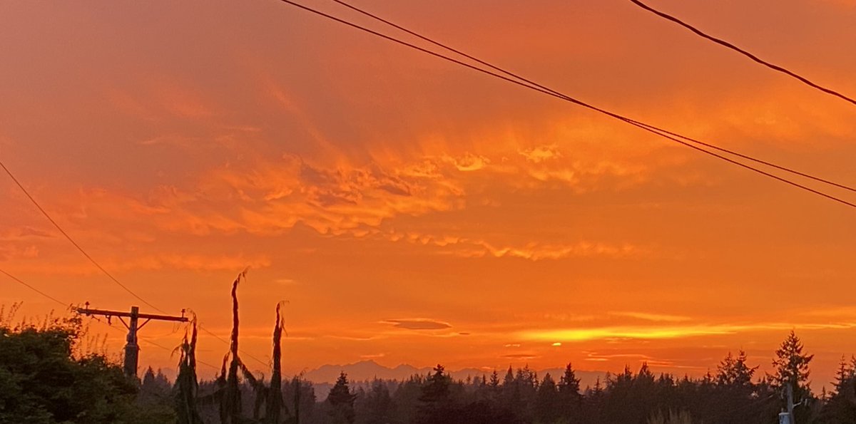 bothellcrow's tweet image. Red sky at night. Crow’s delight.