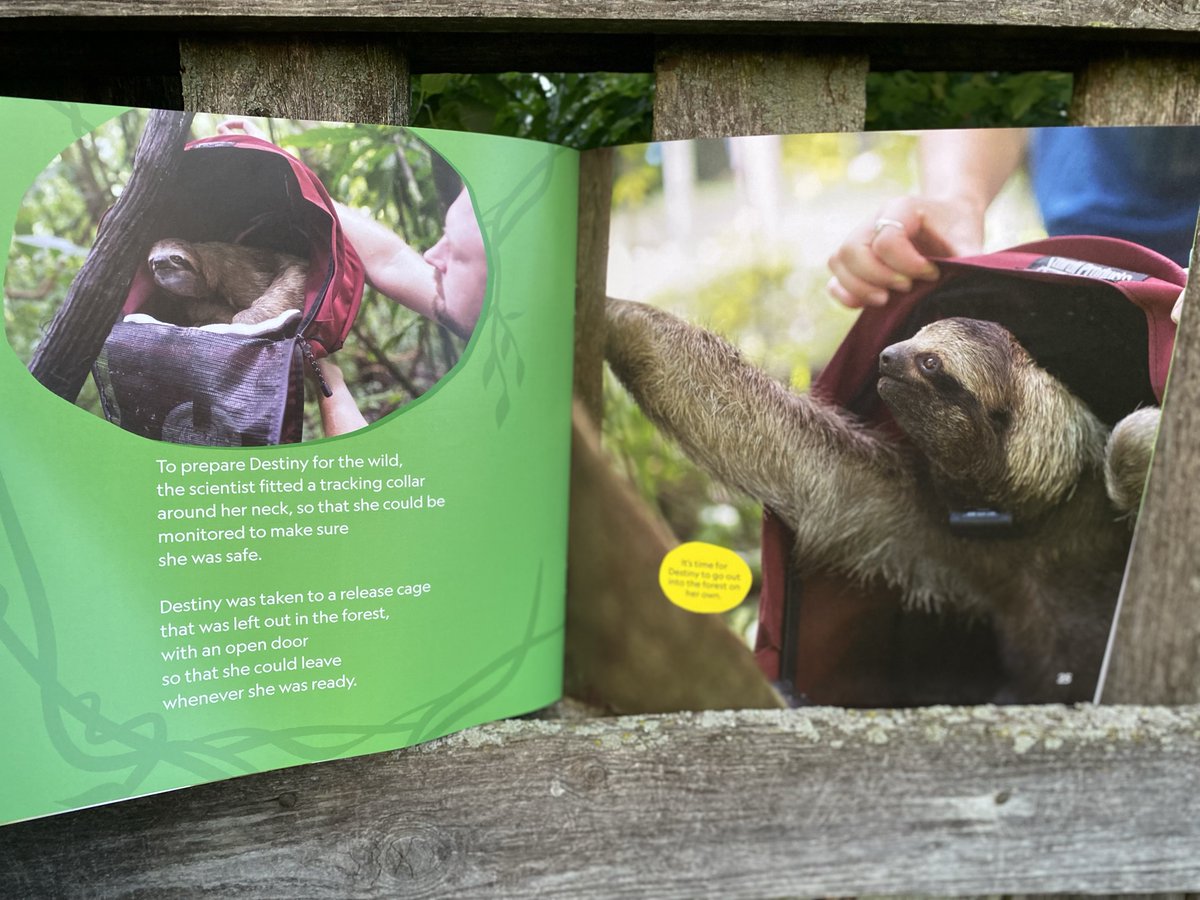 LibrarianBookends (Steph 💛& Mary❤️) #alaac24 tweet media