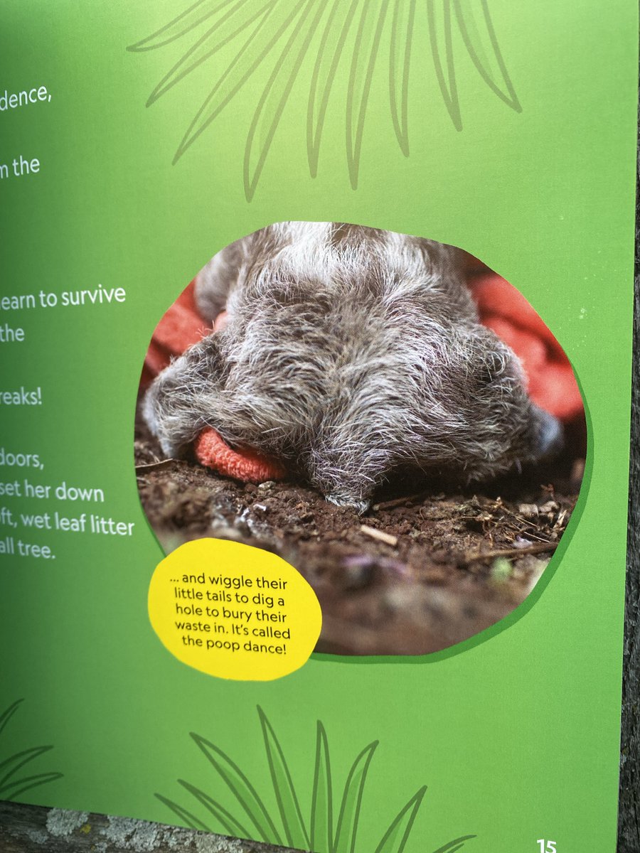 LibrarianBookends (Steph 💛& Mary❤️) #alaac24 tweet media