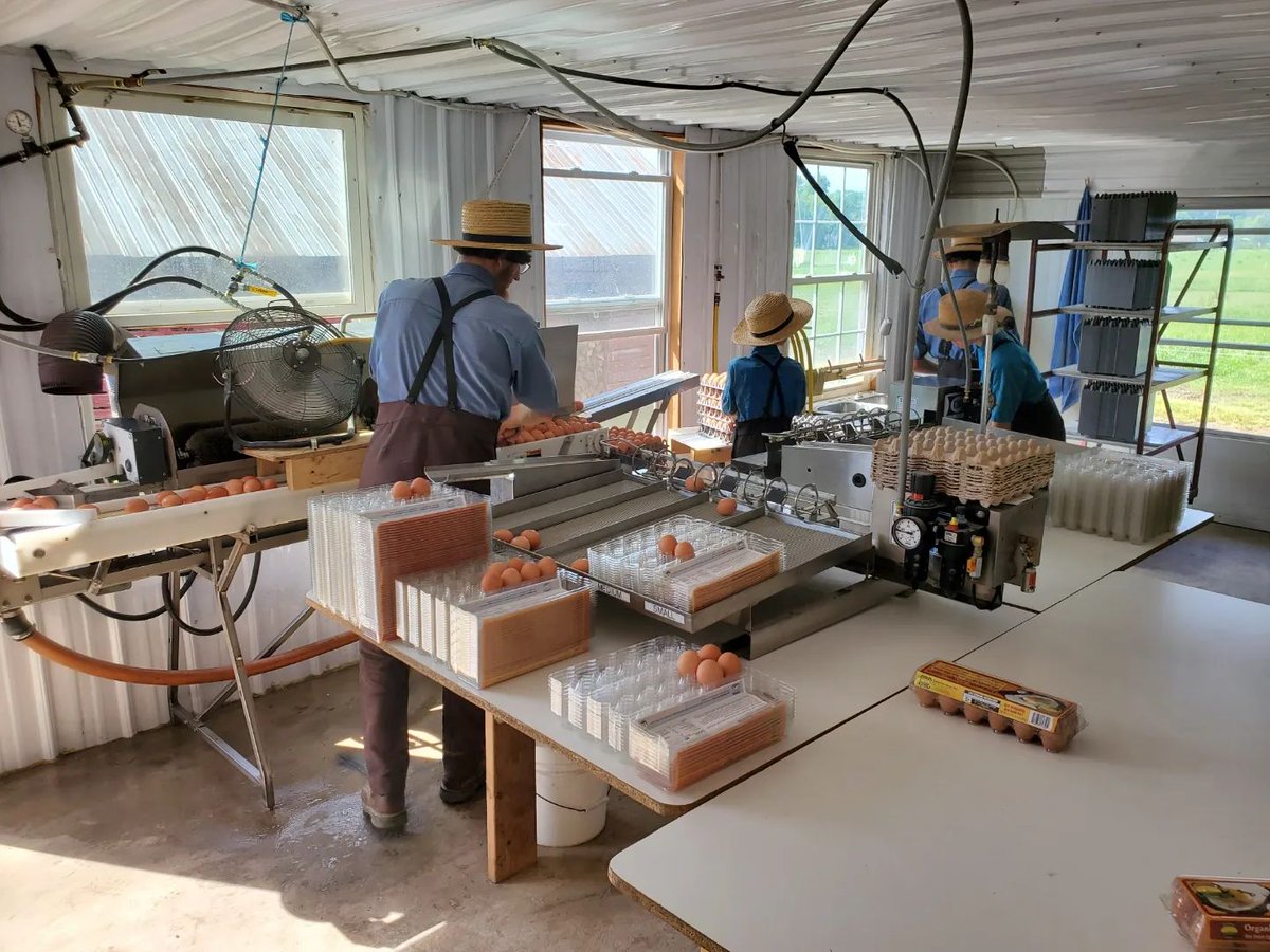 sunshinefarminc's tweet photo. Amish working in the farm #newyork #newjersey #connecticut #pennsylvania #teamwork #success #motivation #allthewayup #onestepatatime #progress #balance #greatstory #amish https://t.co/iNdNQBThOh