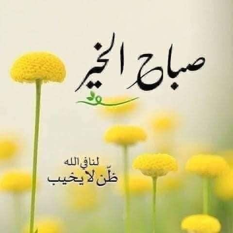 #صباح_الخير كل صباحٍ 
يحملُ حِزمة طمأنينة 
مُختلفة استشعارها واجب