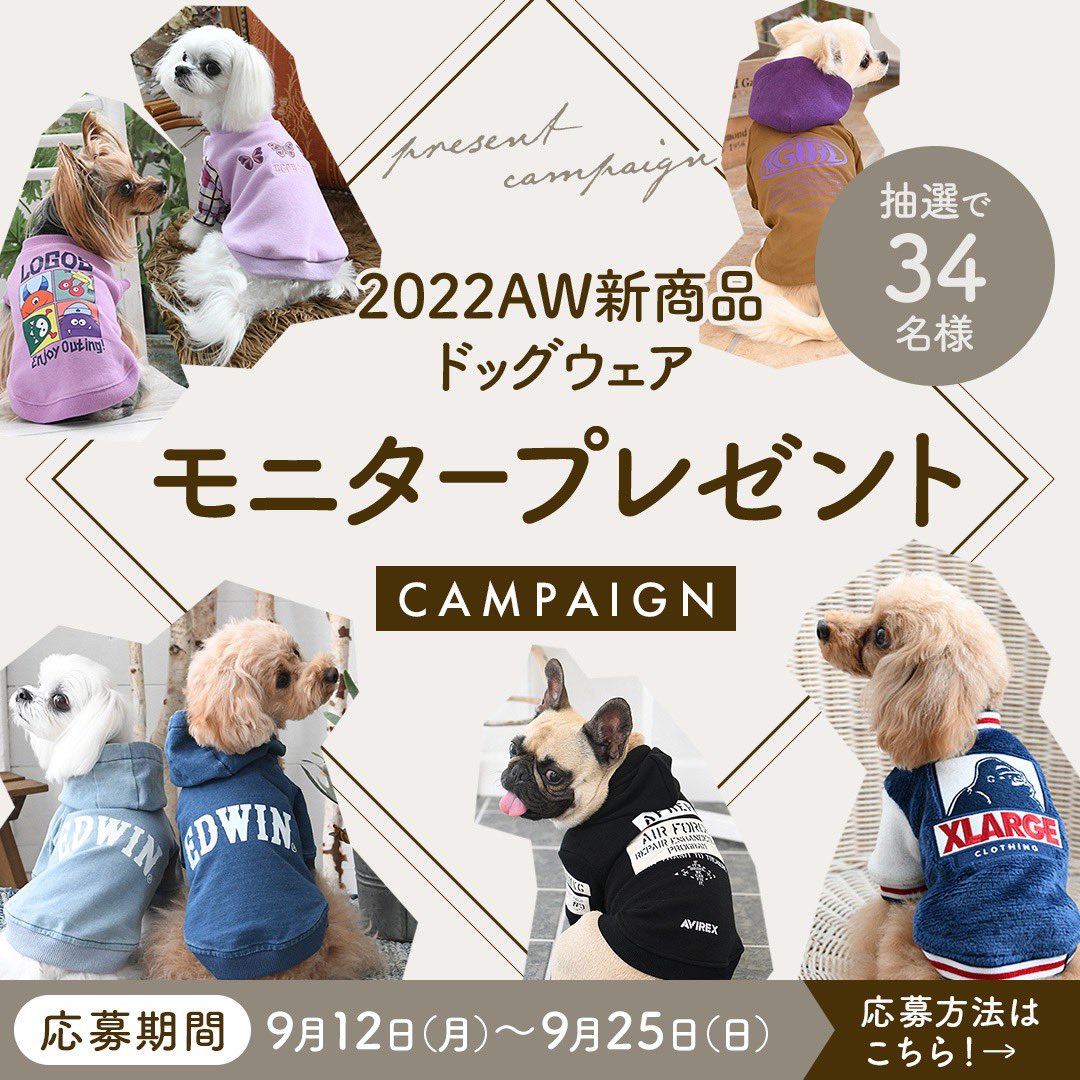 Calulu_dogwear's tweet photo. 本日から25日まで2022AW新商品ドッグウェアモニタープレゼントキャンペーン🎁新���品をお試しいただける特別なキャンペーンです💕ブランドご希望可能です！応募内容や方法はこちらの画像より確認してね♪沢山のご応募お待ちしてます🐶✨ https://t.co/Ew75i93s3Z