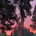 Photo by Valorie @valorie@mas.to @valorie@counter.social (@valoriez)