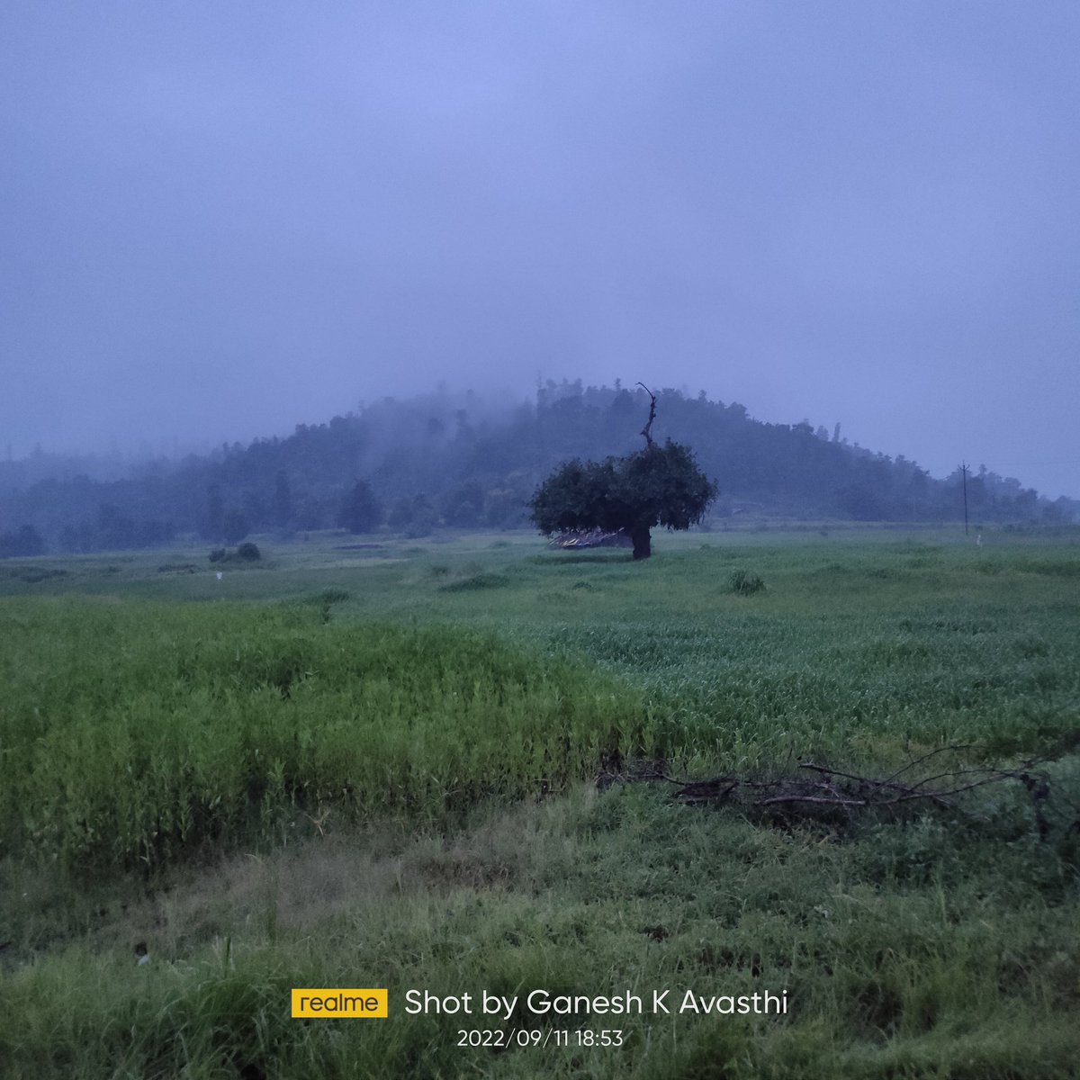 Devavasthi's tweet photo. 🍁सुकून🍁
#clouds #nature #naturephotography #peace #love #sukun #tree #gclicks #nashik #नाशिक #NOFILTER #morning https://t.co/YnBkjOZDnj