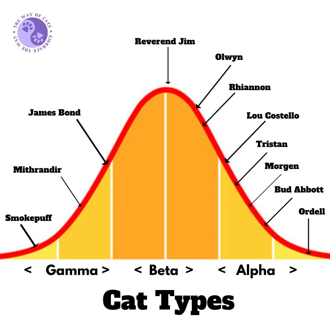 WayofCats's tweet photo. Cat Type Distribution gives us odds on choosing. - the Way of Cats https://t.co/tT2AoToFJX
These are my cats from the whole of the blog. I seem to have a preference when it comes to #CatTypes π
#CatsOfTwitter #CatsOnTwitter #CatChoosing #AdoptDontShop https://t.co/LTsCu717a6