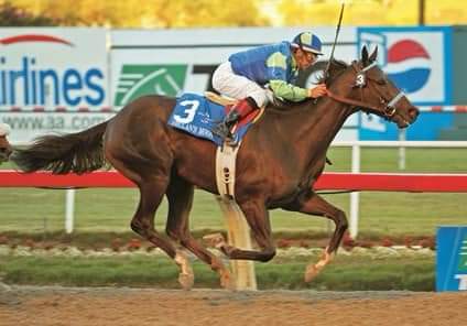 HORSERACING1002's tweet photo. DECLAN'S MOON🇺🇸(MALIBU MOON)#DeclansMoon a G1 Stakes winner in USA 🇺🇸. 2004 champion 2yo Colt. @VictorEspinoza https://t.co/OqPgQ0G6VD