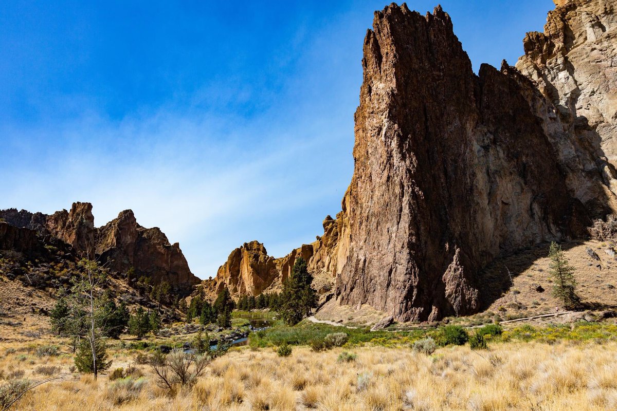 Stephen Saltzman tweet media